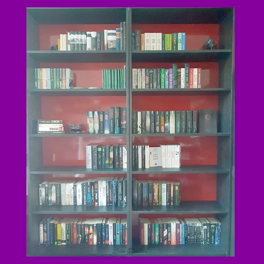 Book_organization_bookshelf_1